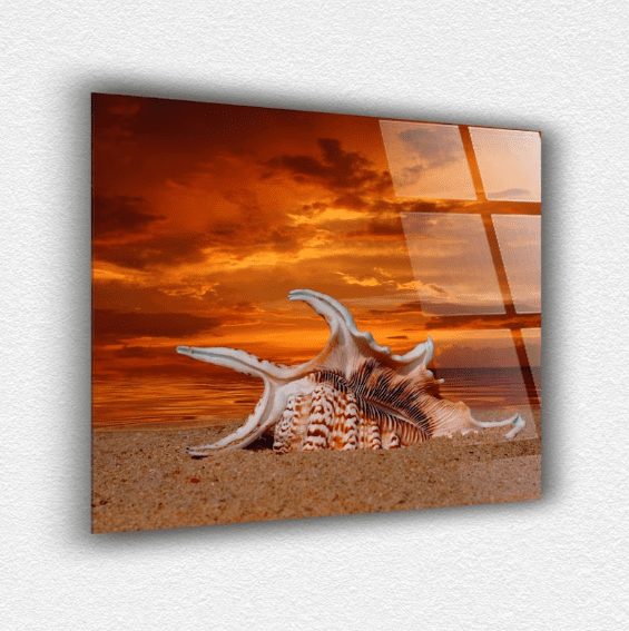 Deniz Kabuğu Cam Tablo