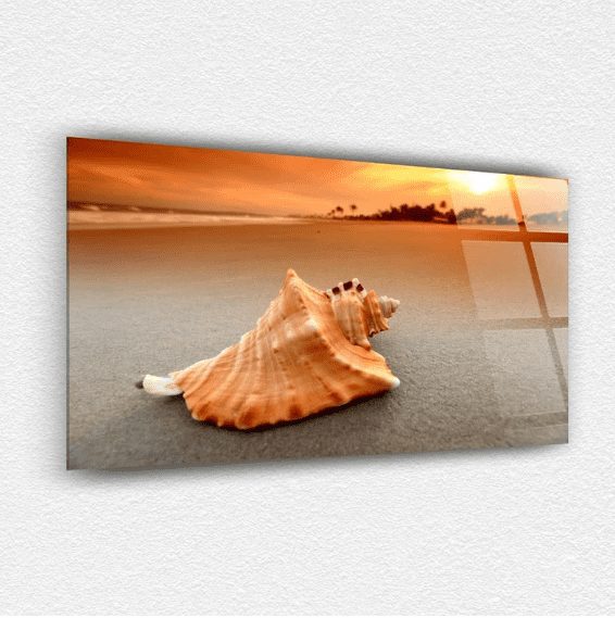 Deniz Kabuğu Cam Tablo