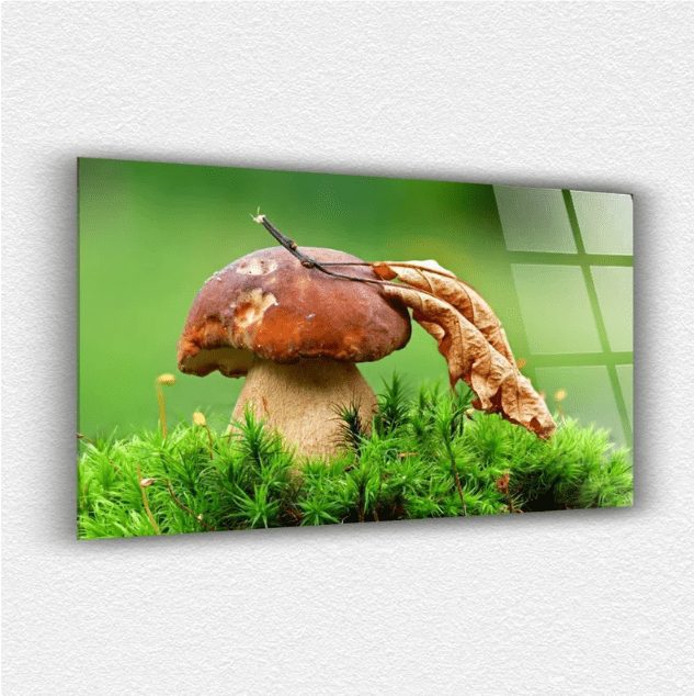 Mantar ve Yaprak Cam Tablo