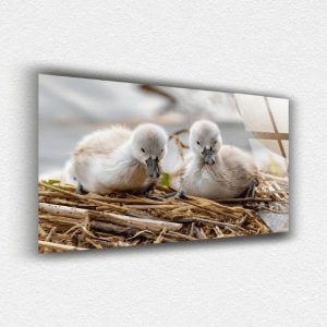 Bebek Kuğu Cam Tablo