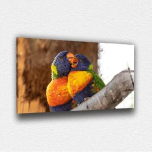 Papağan Cam Tablo