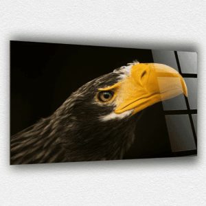Kartal Cam Tablo