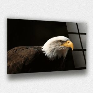 Kartal Cam Tablo